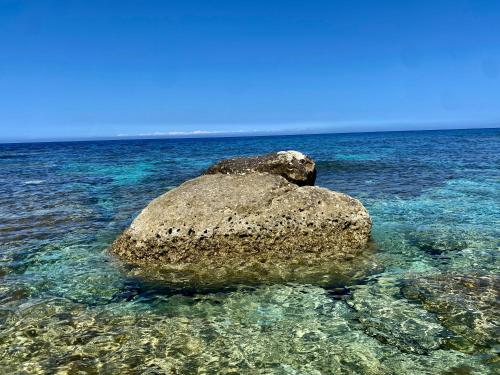 a rock sitting on top of the water at MJ Farmhouse B&B in Xagħra