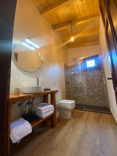 a bathroom with a toilet and a sink and a shower at Villa Marín Toledo in Las Nieves