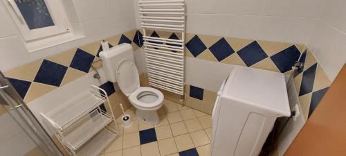 Koupelna v ubytování Apartma Vida