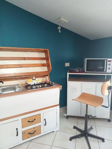 una cucina con piano cottura, lavello e forno a microonde di il rifugio di d'annunzio a Montesilvano