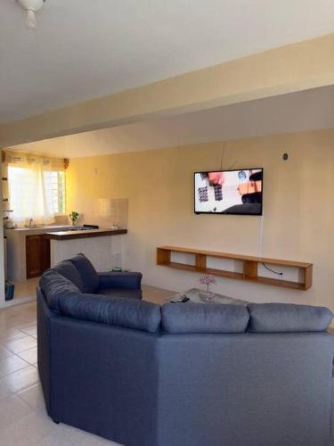 a living room with a blue couch and a tv at Departamento completo, cómodo y cerca del aeropuerto in San Agustin de las Juntas