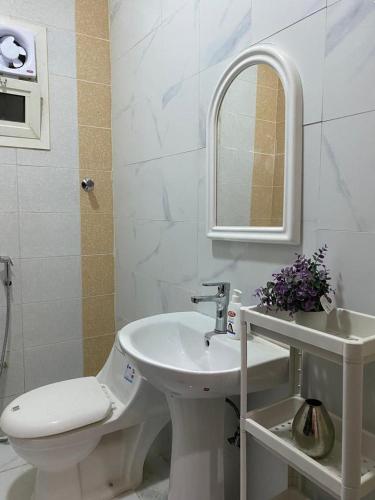 La salle de bains est pourvue d'un lavabo, de toilettes et d'un miroir. dans l'établissement شقة مدخل خاص دخول ذاتي, à Riyad