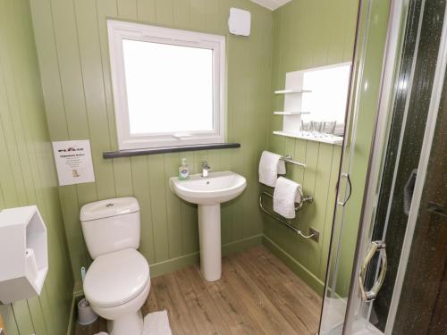 a green bathroom with a toilet and a sink at Cotswold View 1 in Evesham