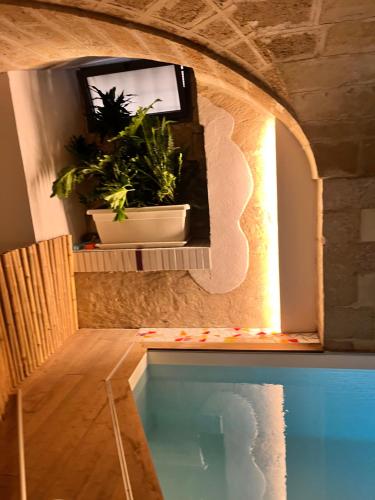 a swimming pool with two potted plants and a tv at VIANNA SUITES SPA in Lecce