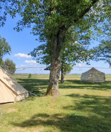 Camping à la ferme – Photos 3