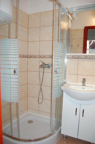 een badkamer met een douche en een wastafel bij Zách Klára utcai Apartman in Visegrád
