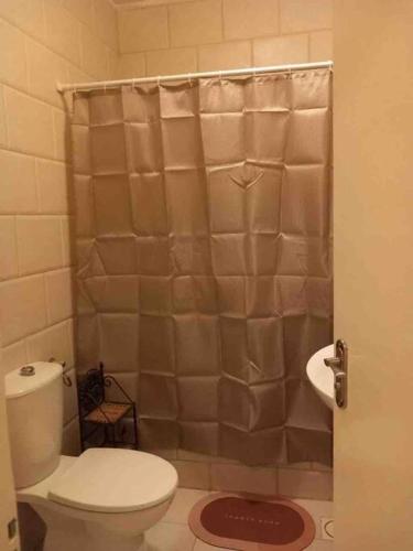 a bathroom with a toilet and a shower curtain at Charming Apartment in Shmeisani in Amman