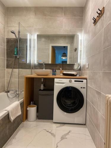 une machine à laver dans une salle de bain avec un lavabo dans l'établissement La Perle Cozy, proche du lac, tout confort et équipé, à Annecy