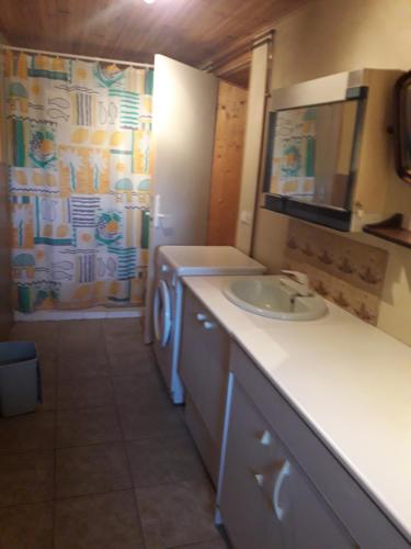 a bathroom with a sink and a washing machine at Gite Chez Coste Gilles in Saint-Privat-du-Dragon