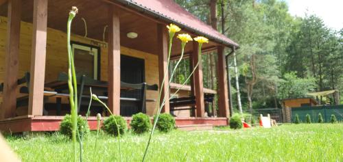Gallery image of Leśne Zacisze 2 in Łuka