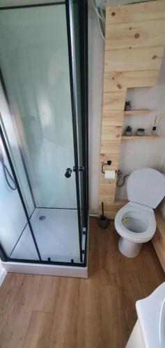 a bathroom with a toilet and a glass shower at Leśne Zacisze 2 in Łuka