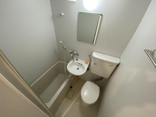 石垣島的住宿－House&Cafe Green Terrace - Vacation STAY 69610v，一间带水槽、卫生间和镜子的浴室