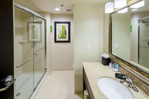 a bathroom with a sink and a shower and a mirror at Hampton Inn by Hilton Augusta Fort Eisenhower in Augusta
