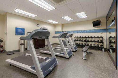 Fitness centrum a/nebo fitness zařízení v ubytování Hampton Inn Alamosa