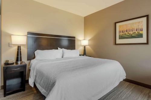 Postel nebo postele na pokoji v ubytování Hampton Inn Alamosa
