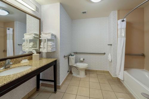 Koupelna v ubytování Hampton Inn Alamosa