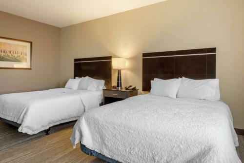 Postel nebo postele na pokoji v ubytování Hampton Inn Alamosa