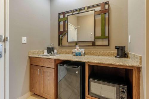 ein Badezimmer mit einem Waschbecken und einer Mikrowelle in der Unterkunft Hampton Inn Alamosa in Alamosa