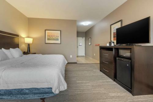 TV a/nebo společenská místnost v ubytování Hampton Inn Alamosa