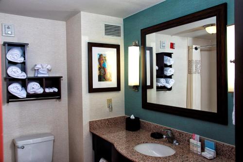 a bathroom with a sink and a mirror and a toilet at Hampton Inn and Suites Amarillo West in Amarillo