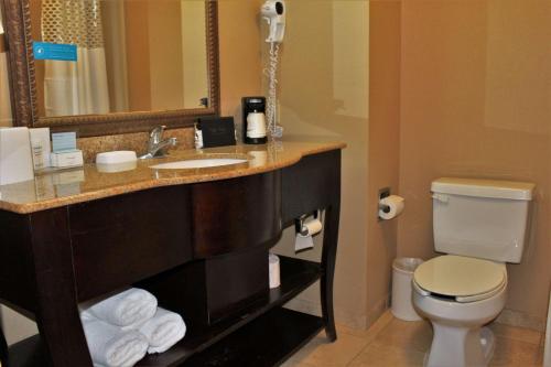 a bathroom with a sink and a toilet and a mirror at Hampton Inn Americus in Americus