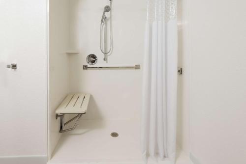a shower with a bench and a shower curtain at Hampton Inn Bonita Springs Naples North in Bonita Springs