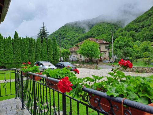 利貝利卡的住宿－Тиловите къщи，阳台种有红色花卉,享有山景