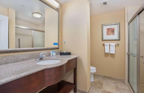 a bathroom with a sink and a toilet at Hampton Inn Covington in Covington