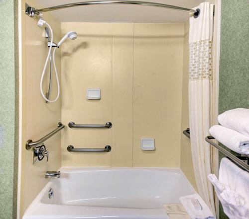 a bathroom with a tub and a shower at Hampton Inn & Suites Atlanta/Duluth/Gwinnett in Duluth