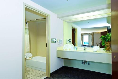 a bathroom with a sink and a tub and a mirror at Hampton Inn & Suites-Atlanta Airport North-I-85 in Atlanta