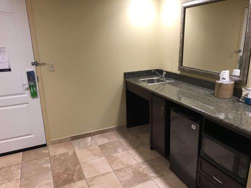 a bathroom with a sink and a mirror at Hampton Inn and Suites Austin - Lakeway in Lakeway
