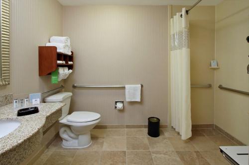 a bathroom with a toilet and a sink and a shower at Hampton by Hilton Austin South - I-35 & Ben White in Austin