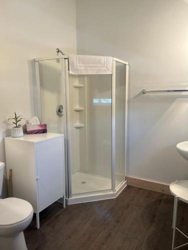 een badkamer met een douche en een toilet bij Fieldstone Guesthouse in Clearwater