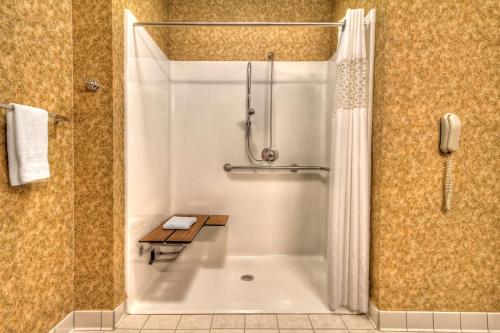 uma casa de banho com um chuveiro e uma banheira com um chuveiro em Hampton Inn & Suites Kalamazoo-Oshtemo em Oshtemo