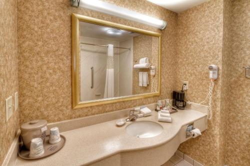 a bathroom with a sink and a mirror at Hampton Inn & Suites Kalamazoo-Oshtemo in Oshtemo