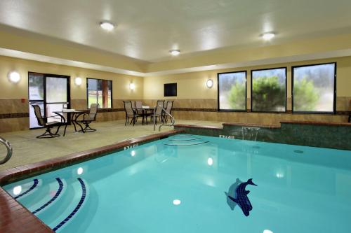 ein Schwimmbad mit einem Delfin in der Mitte in der Unterkunft Hampton Inn & Suites Buffalo in Buffalo