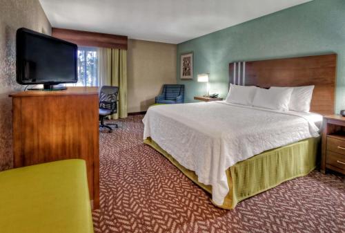 ein Hotelzimmer mit einem Bett und einem Flachbild-TV in der Unterkunft Hampton Inn Beaufort in Beaufort