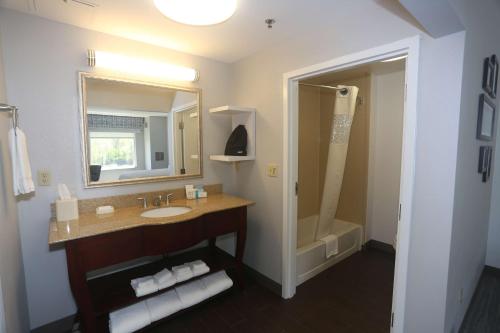 Koupelna v ubytování Hampton Inn Owego