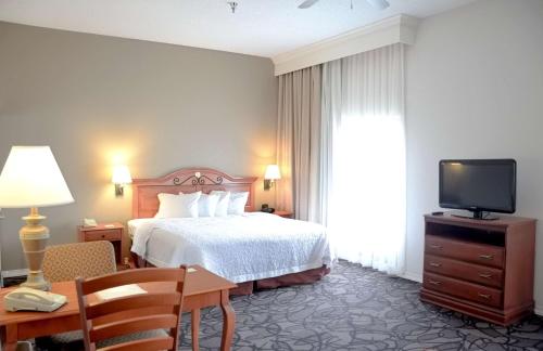 a hotel room with a bed and a television at Hampton Inn & Suites Birmingham-Pelham - I-65 in Pelham