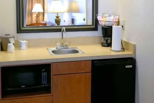 a kitchen counter with a sink and a microwave at Hampton Inn & Suites Birmingham-Pelham - I-65 in Pelham