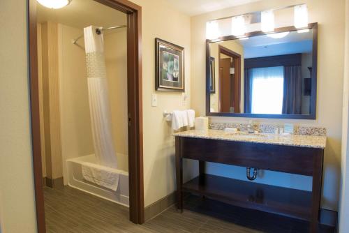 a bathroom with a sink and a large mirror at Hampton Inn & Suites Bismarck Northwest in Bismarck