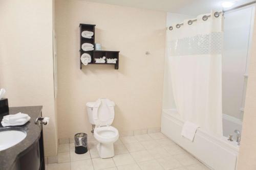 a bathroom with a toilet and a sink and a shower at Hampton Inn Bloomington West in Bloomington