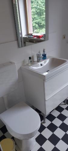 ein Badezimmer mit einem Waschbecken, einem WC und einem Spiegel in der Unterkunft Ferienhaus Kastanienblick in Moselkern