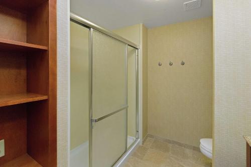 a bathroom with a shower and a toilet at Hampton Inn & Suites Blairsville in Blairsville