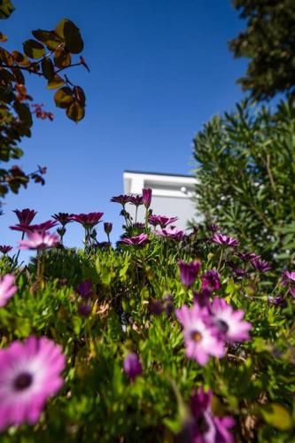 Apartman Milazzi, fully air-conditioned