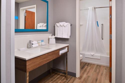 Koupelna v ubytování Hampton Inn & Suites Boise/Spectrum