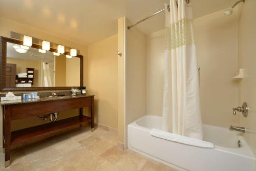 Hampton Inn East Aurora tesisinde bir banyo