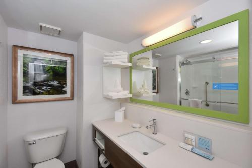 a bathroom with a toilet and a sink and a mirror at Hampton Inn Brevard in Pisgah Forest