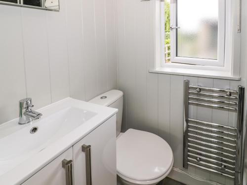 a bathroom with a toilet and a sink and a window at Alstroemeria in Evesham