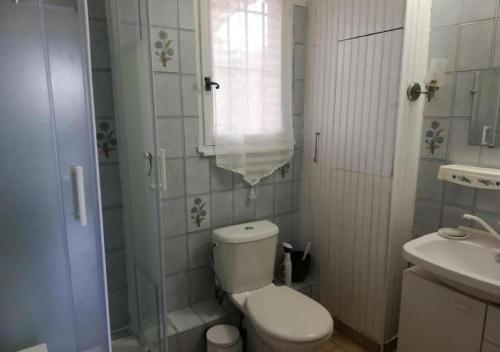 een badkamer met een toilet, een wastafel en een douche bij F1 bas de Villa, calme, proche plage et commerces in Le Pradet